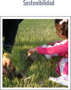 Sostenibilidad